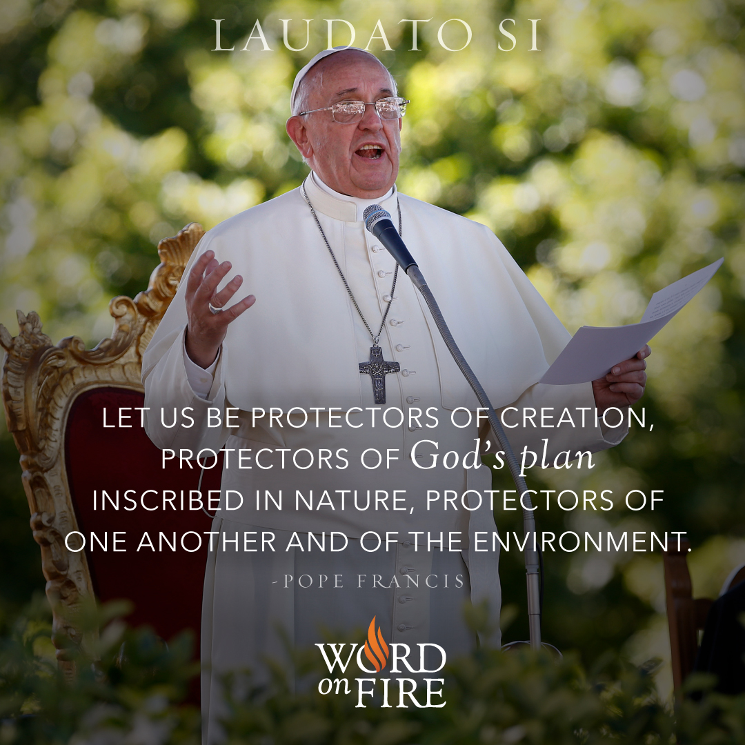 Download "Laudato Si" | Pope Francis' Encyclical on Environment and Climate  Change