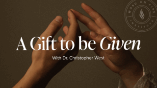 recommended article photo